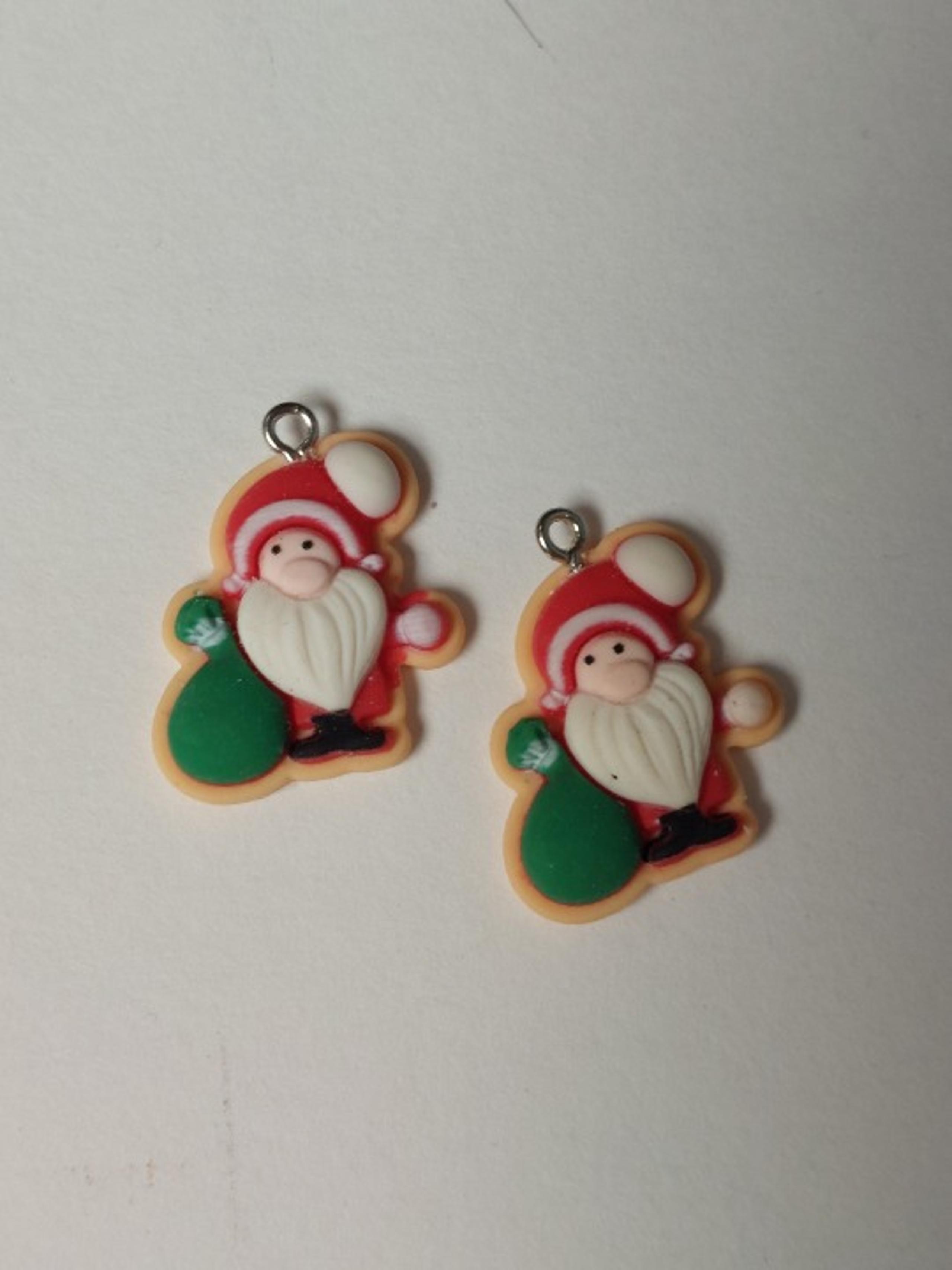 Customized earrings