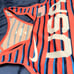 Nike Pro Team USA Mountain & Trail Running Shirt