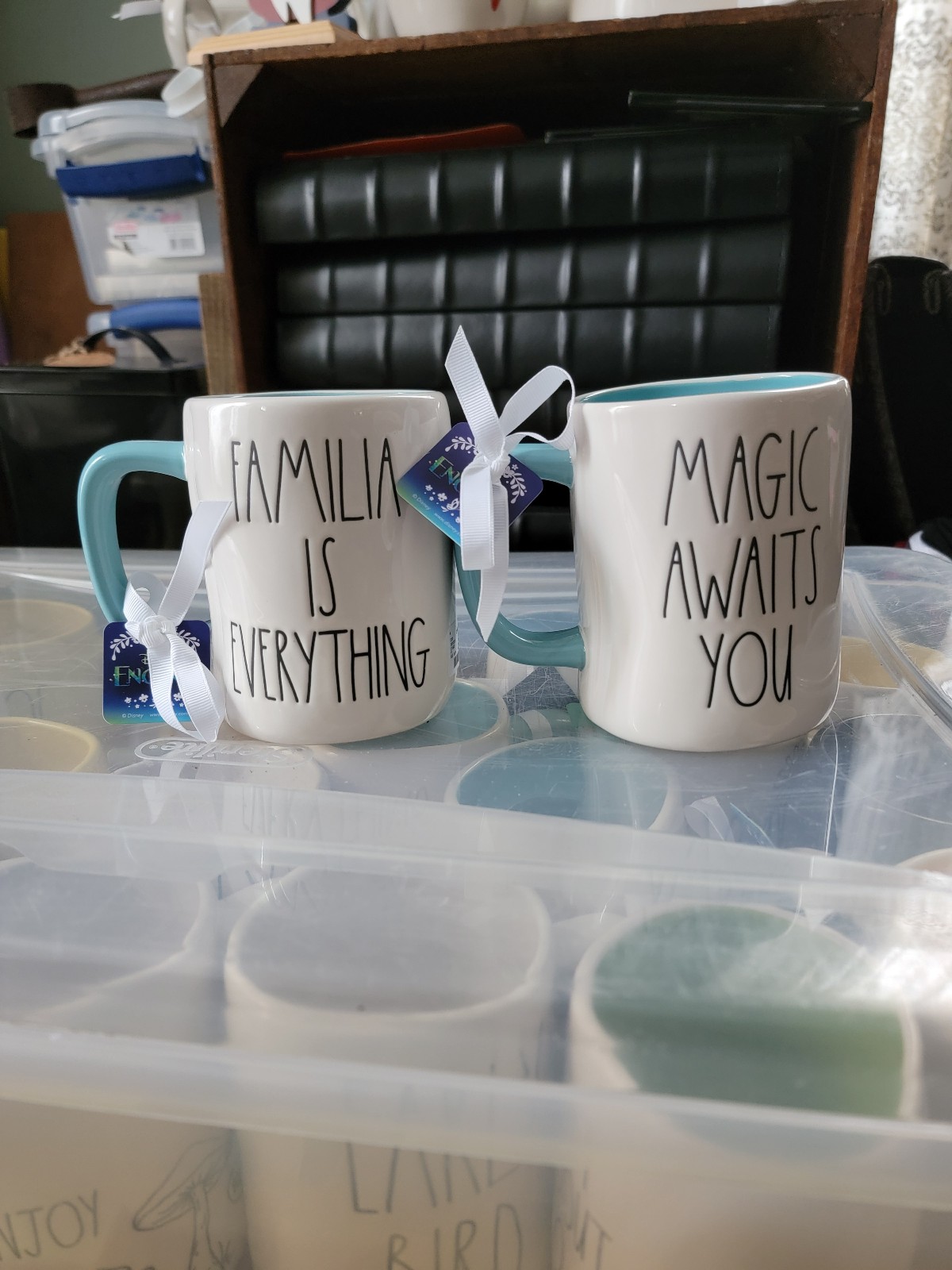 Brand new Rae dunn disney enchanto mug