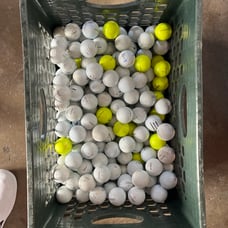Used Prov1x golf balls (150 total)