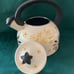 TEMPTATIONS CONFETTI WHISTLING TEA KETTLE