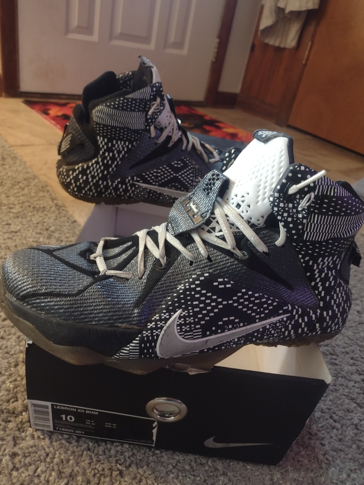 Nike LeBron 12 Black History Month