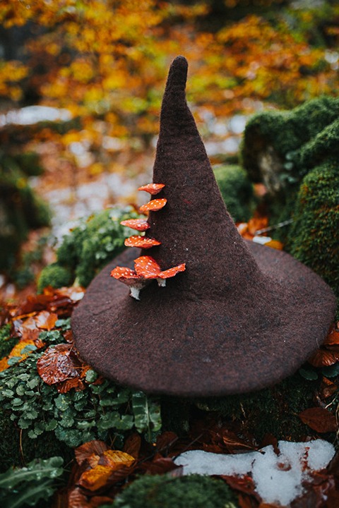 Witch hat with mushrooms amanita muscaria ，wool Halloween，cosplay dark academia