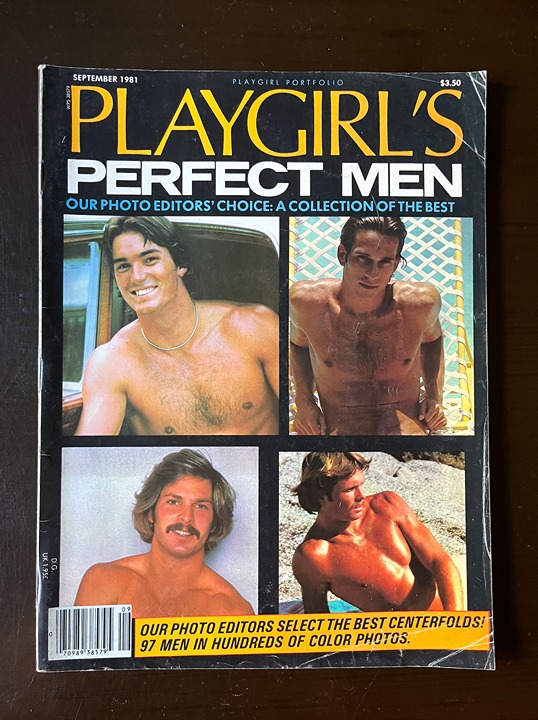 PLAYGIRL PERFECT MEN 9/81 SAM JONES Bill Davidson DAVID WHITE J.W. King RARE