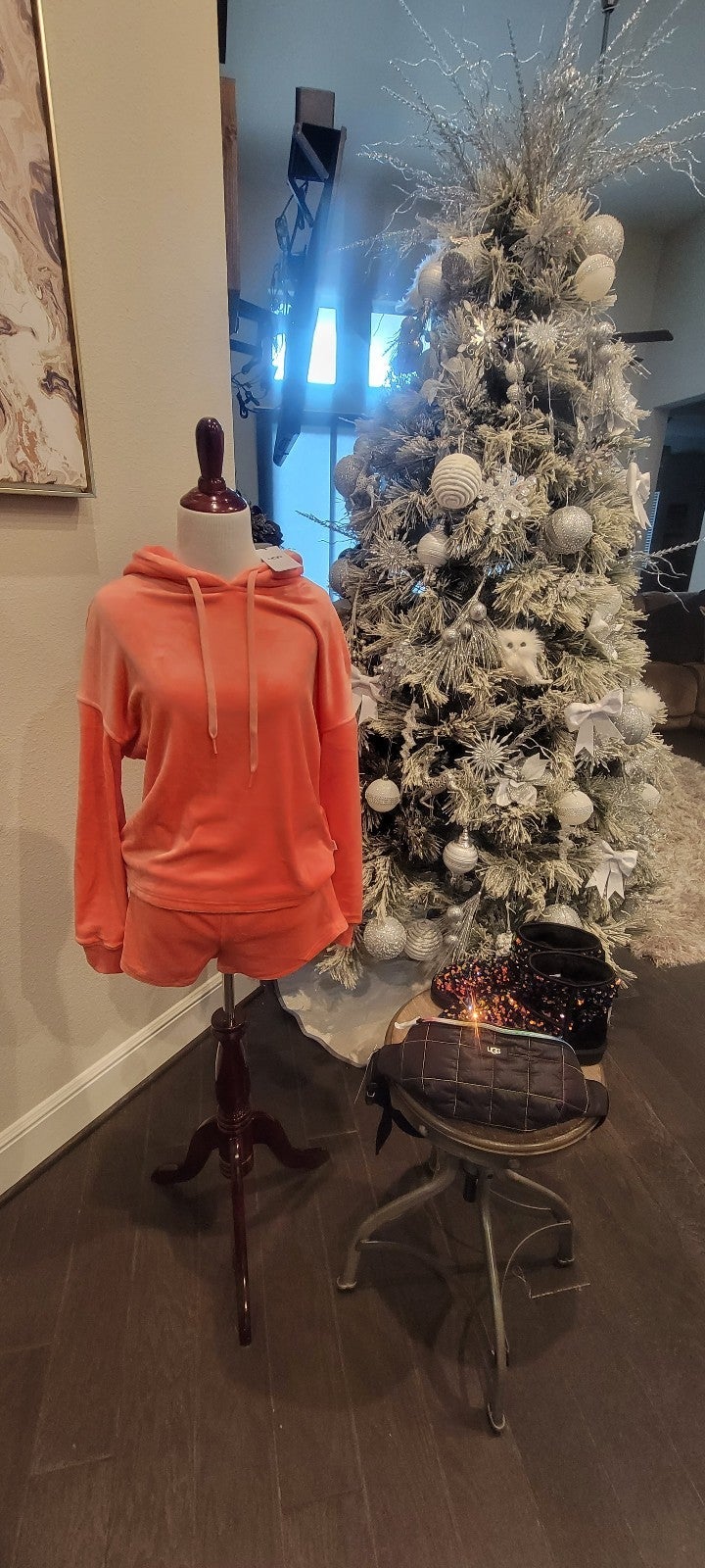 Beautiful nwt UGG Valerius shorts and Belden hoodie .