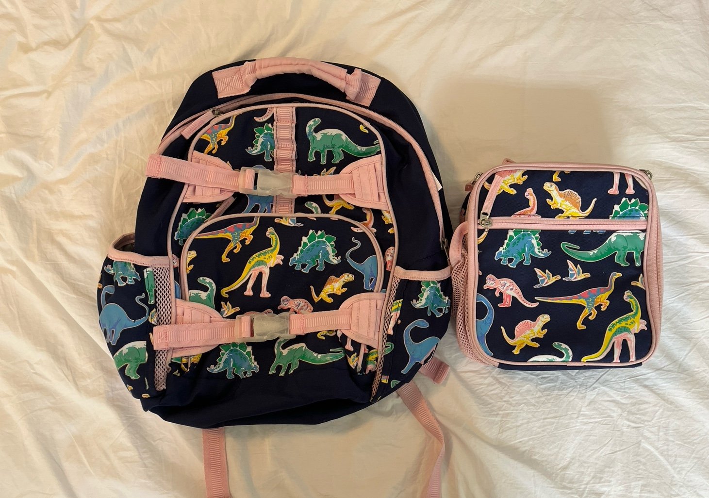 Pottery Barn Glow-in-the-Dark Pink Dinos Large Backpack and Lunchbox
