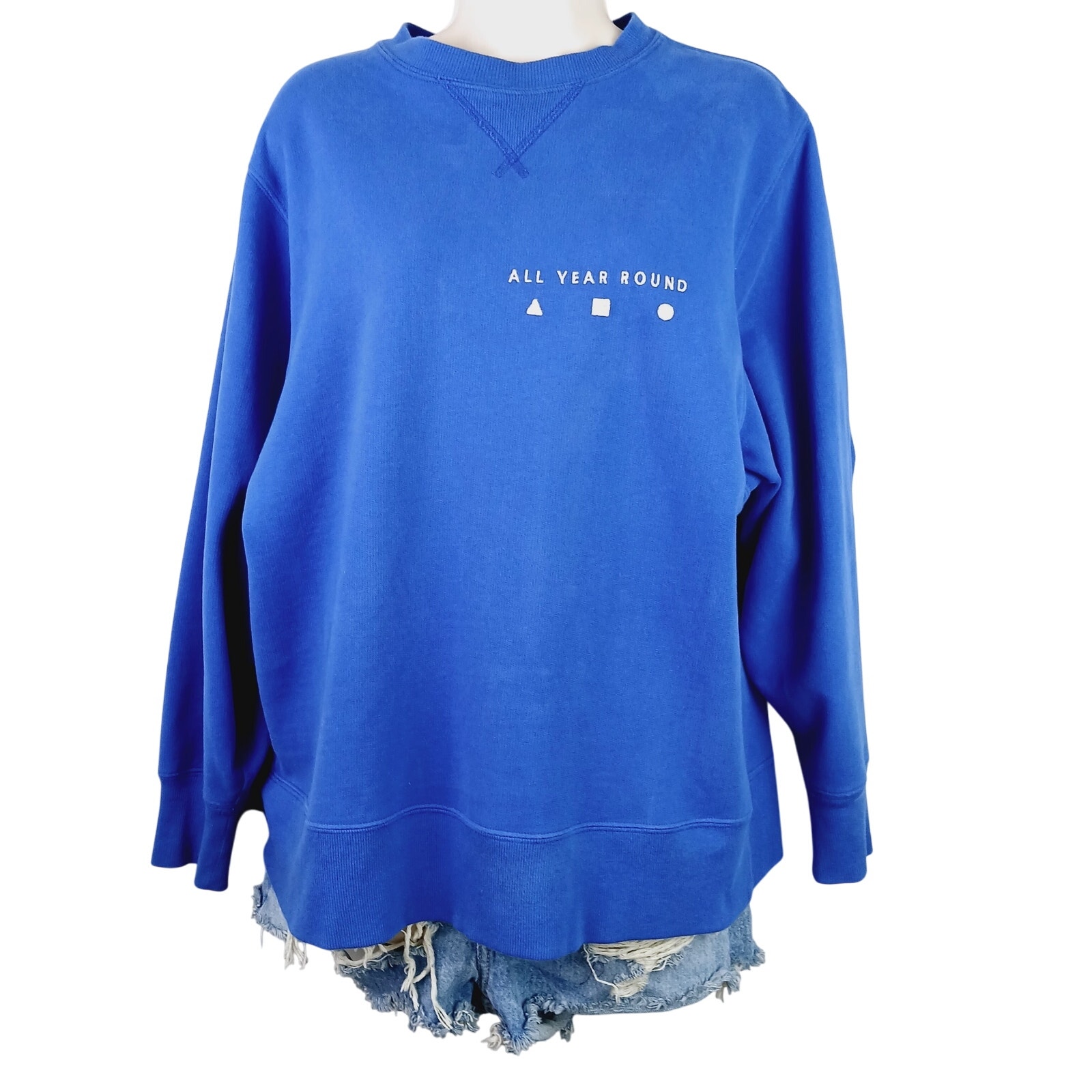 AYR All Year Round SZ XS The Sweatshirt Blue Sweatshirt Blue Embroidered Cotton