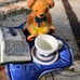 Vintage Cardew Teddy Bear on Chinoserie Painted Loveseat