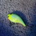 fishing lures