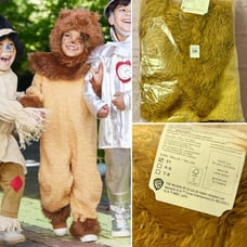 The Wizard of Oz Cowardly Lion Pottery Barn Kids Costume Size 3T BRAND NEW