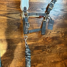 Lemieux Horse Petrol Vogue Fleece Halter Size Large (full) (horse)