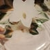 4-Hand Painted (on bottom) Dinner Plates signed