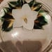 4-Hand Painted (on bottom) Dinner Plates signed