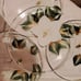 4-Hand Painted (on bottom) Dinner Plates signed