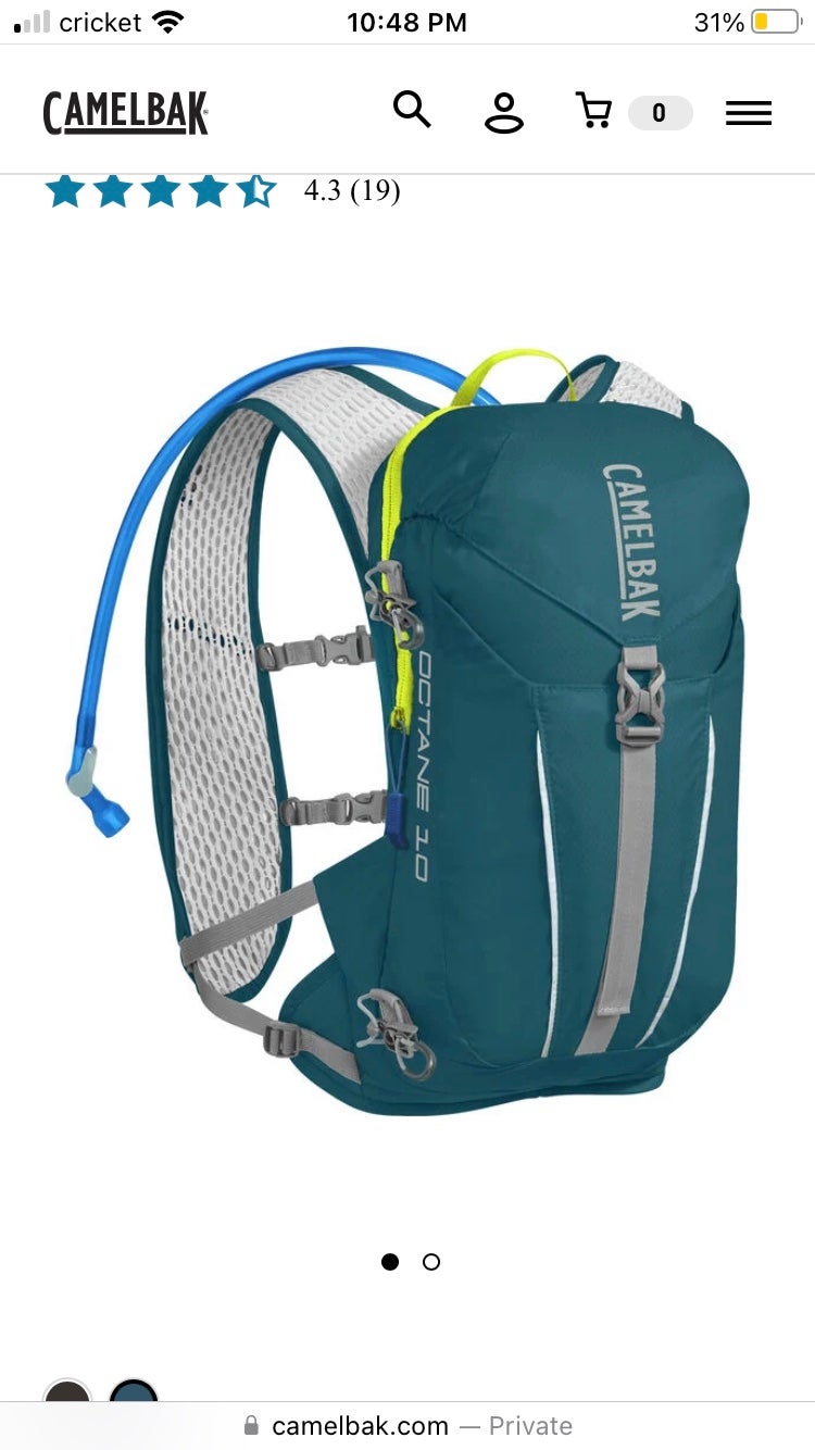 New without tags camel back blue and green backpack
