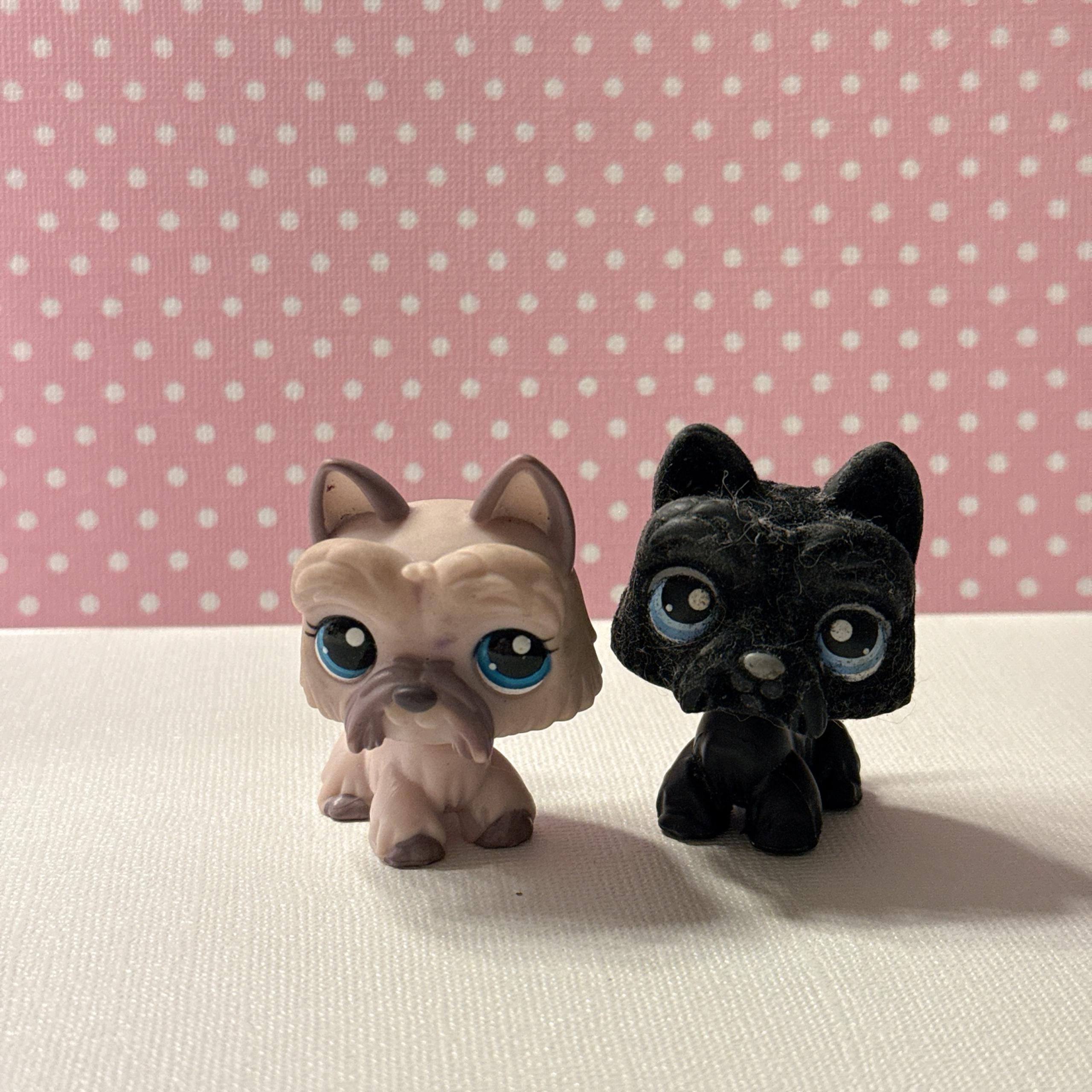LPS dogs