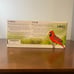 Window Bird Feeder