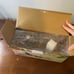 Window Bird Feeder