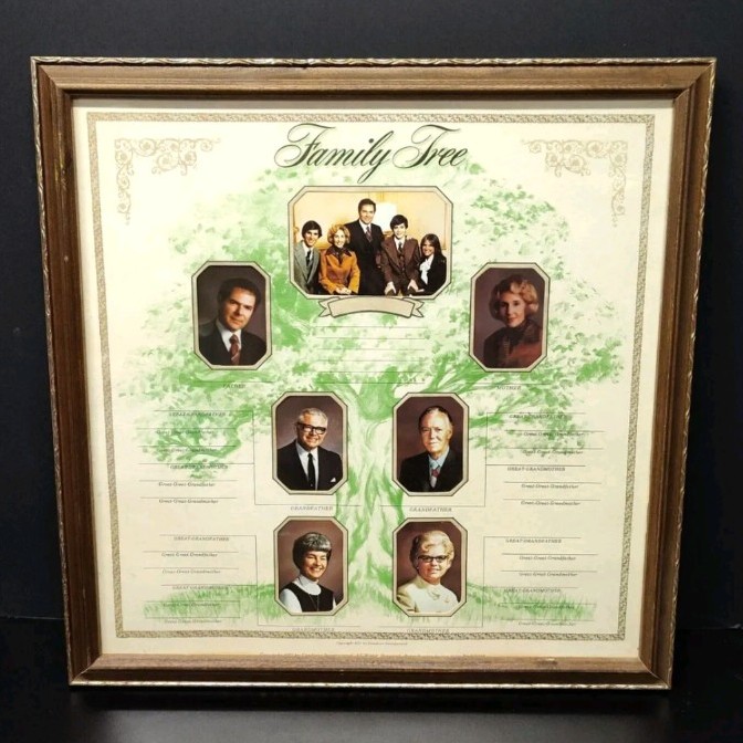 Vintage FAMILY TREE PHOTO FRAME & Genealogy Tracker, 1977, 17.5 x 17.5\