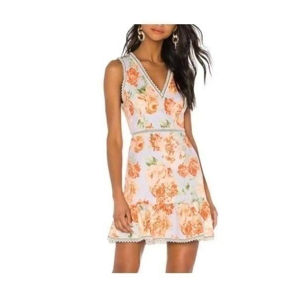 Alice + Olivia Kirean garden posy dress sz 8