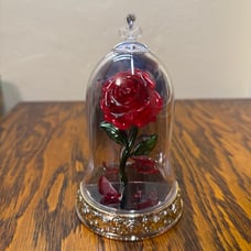 Bath and body Body Works Disney Princess Belle Beauty and the Beast Wallflower