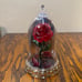 Bath and body Body Works Disney Princess Belle Beauty and the Beast Wallflower