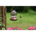 Hummingbird Feeder, 18016P Glass Hummingbird Feeder for Outdoors - Lavender