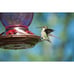 Hummingbird Feeder, 18016P Glass Hummingbird Feeder for Outdoors - Lavender