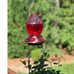 Hummingbird Feeder, 18016P Glass Hummingbird Feeder for Outdoors - Lavender