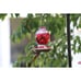 Hummingbird Feeder, 18016P Glass Hummingbird Feeder for Outdoors - Lavender