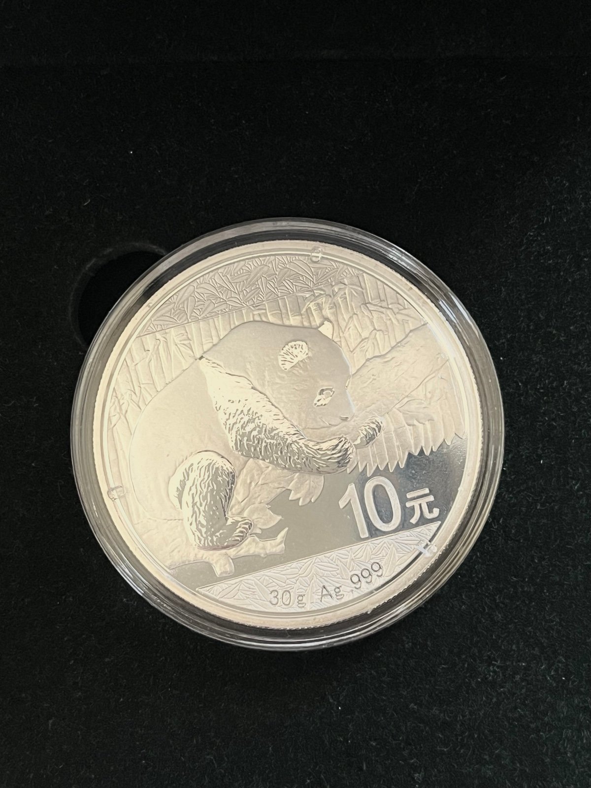 2016 China Panda Silver Coin