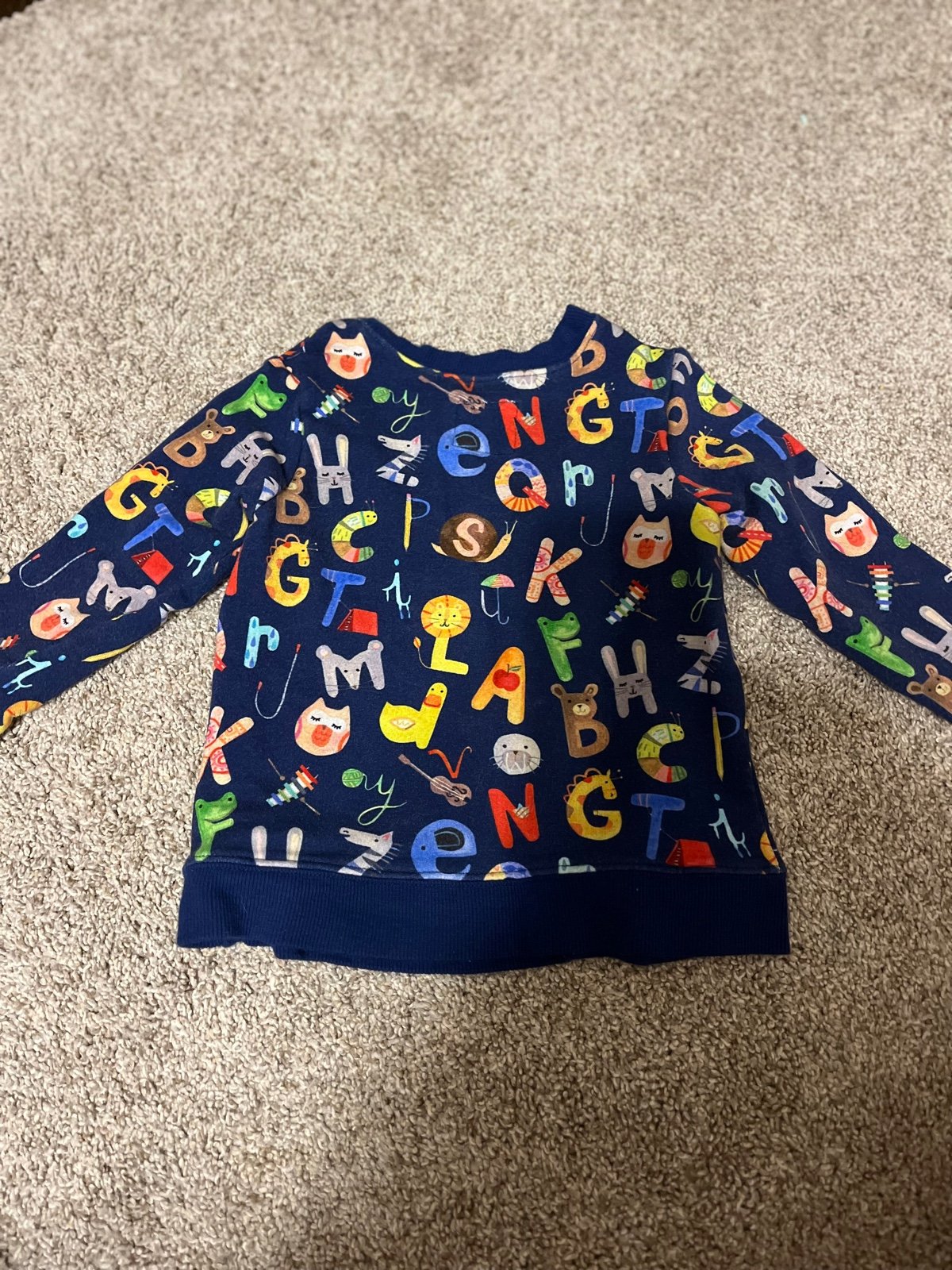 Sweatshirt- Little Sleepies
