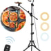 10.5 Selfie Ring Light with Stand and Phone Holder with Tripod Stand