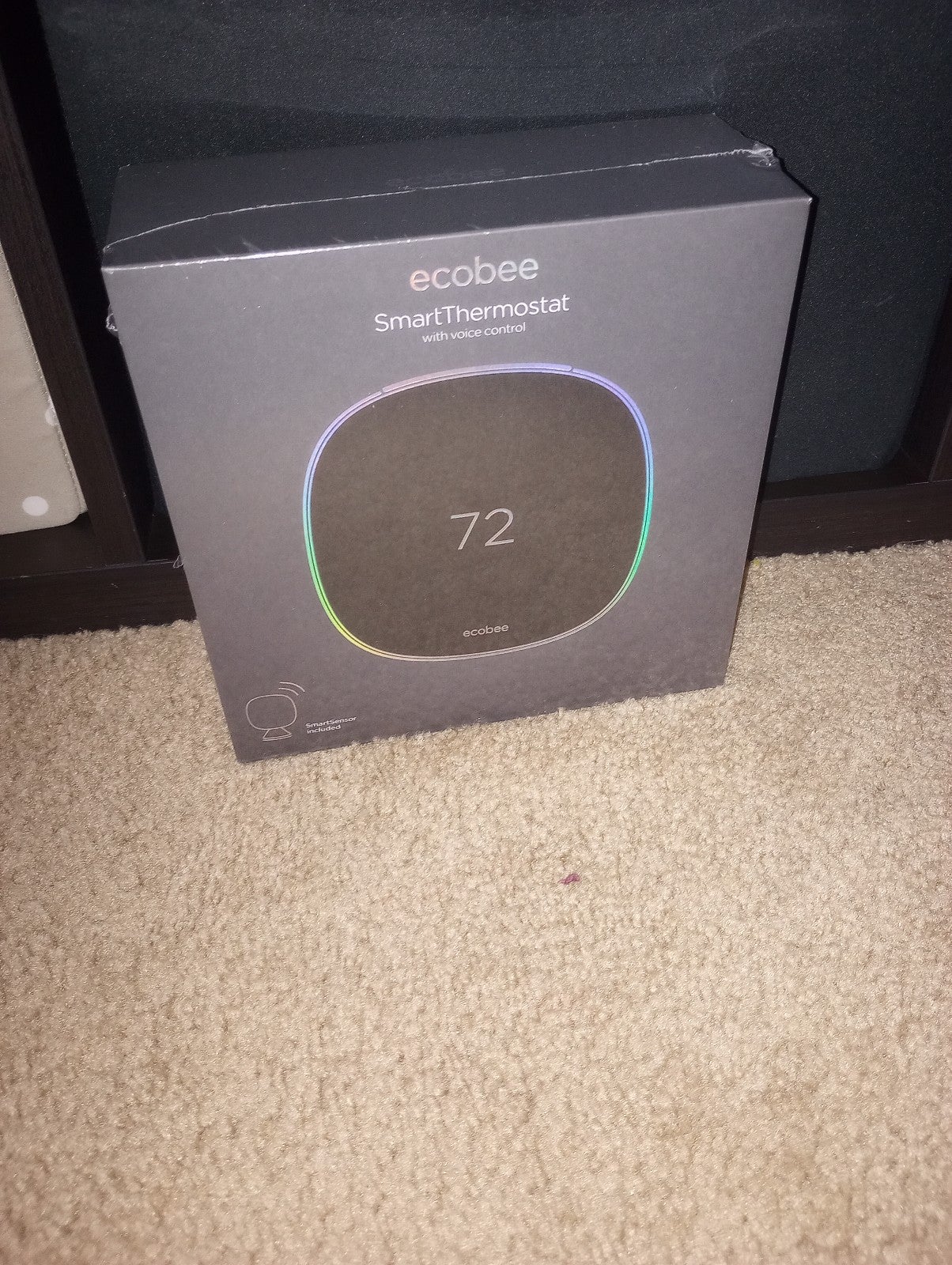 Brand-new Ecobee Thermostat