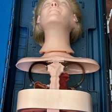 Laerdal Resusci Anatomic Anne Torso CPR EMT First Aid Training Mannequin & Case