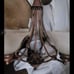 chandelier 6 globe light fixture