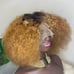 wigs human hair