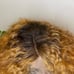 wigs human hair