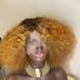 wigs human hair