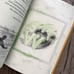 All About Reading Pre-Reading Set