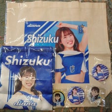 Yokohama DeNA BayStars Diana Shizuku Bag and Badge Set