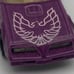 Hot Wheels Color Racers Hot Bird Pontiac Firebird Purple Diecast 1:64