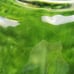 Vintage Portuguese Majolica Green Cabbage Leaf Ware Large 11 Serving/Salad Bowl