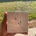 Apple AirPods