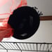 Cotour Small Top Hat Headpiece with Veil