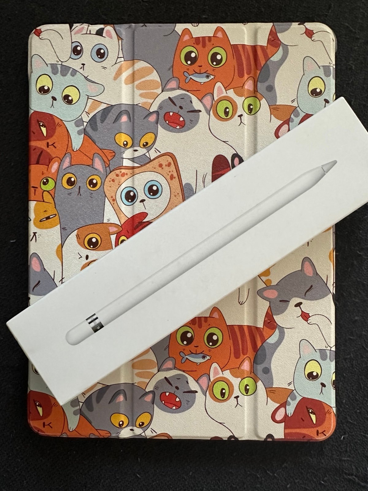9th Generate iPad and Apple Pencil