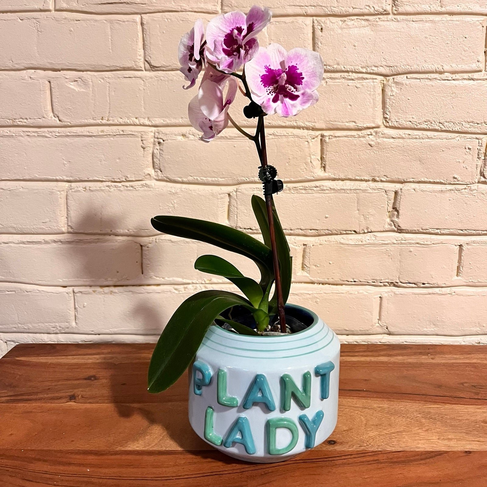 Anthropologie Plant Lady Ceramic Planter
