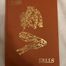 Sam Falls - After Life