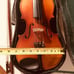 Skylark Student Violin.