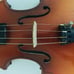 Skylark Student Violin.
